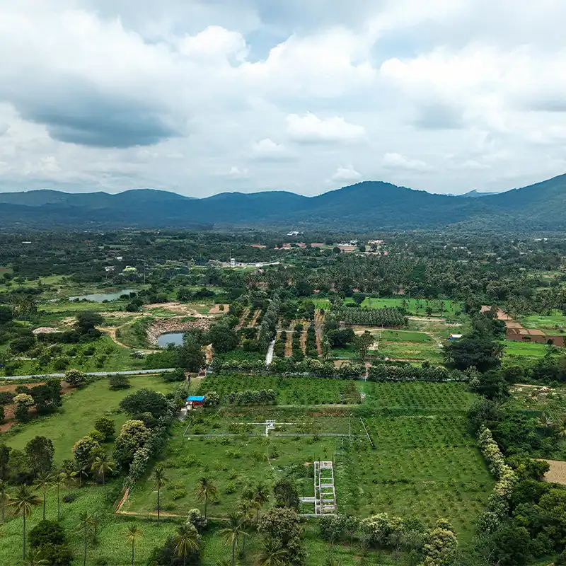 Brindavan Property Images