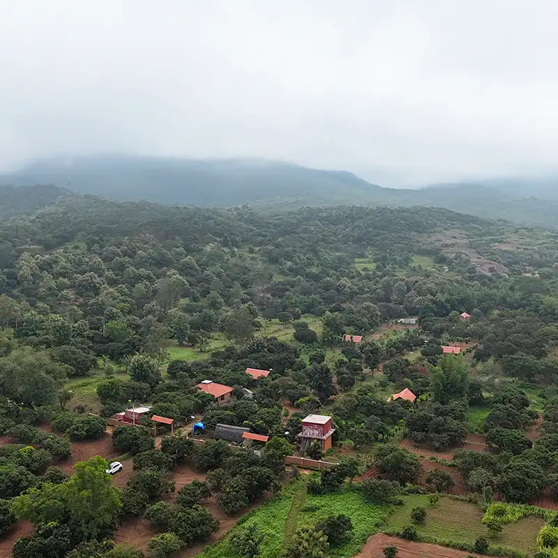 Mango Dew Property Images