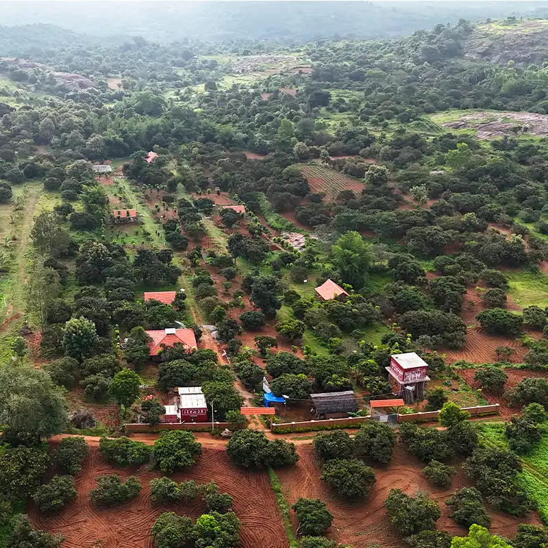 Mango Dew Property Images -1