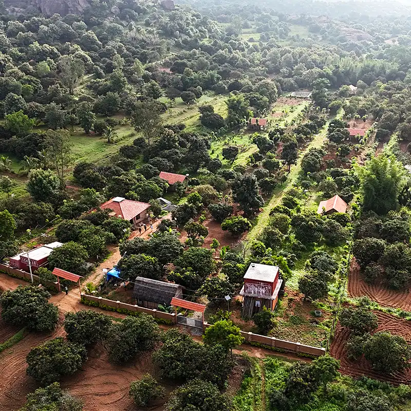 Mango Dew Property Images -2