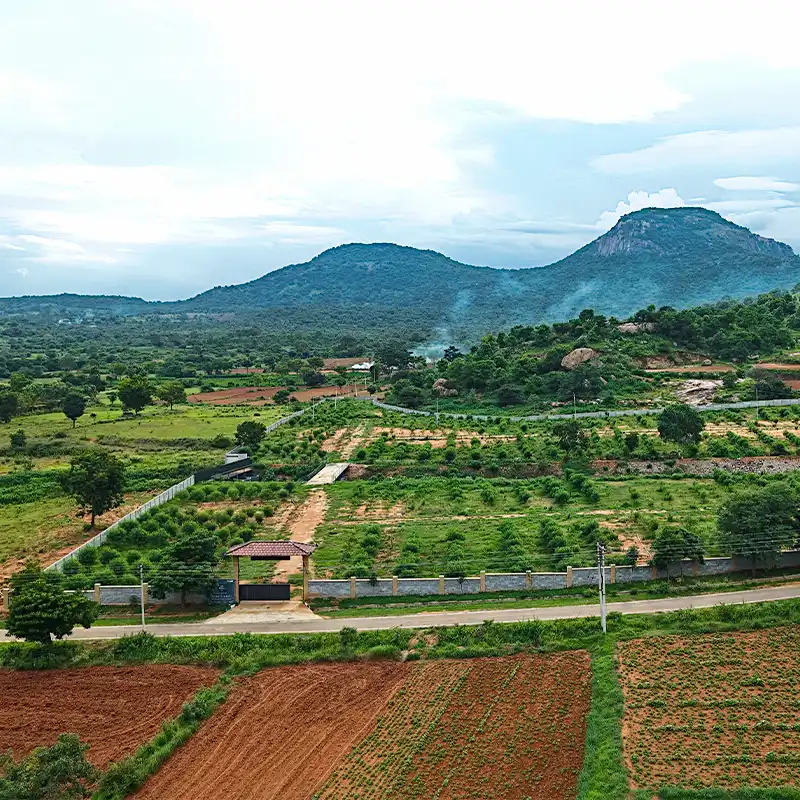 Parva Property Images-1