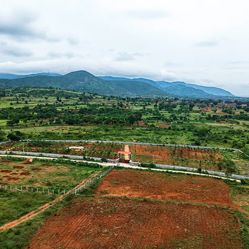 Shikara Property Images