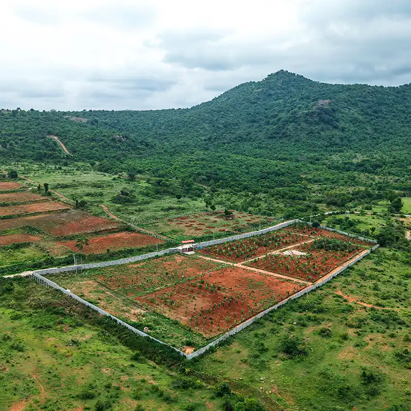 Shikara Property Images -1