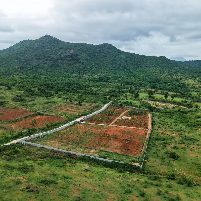 Shikara Property Images -2