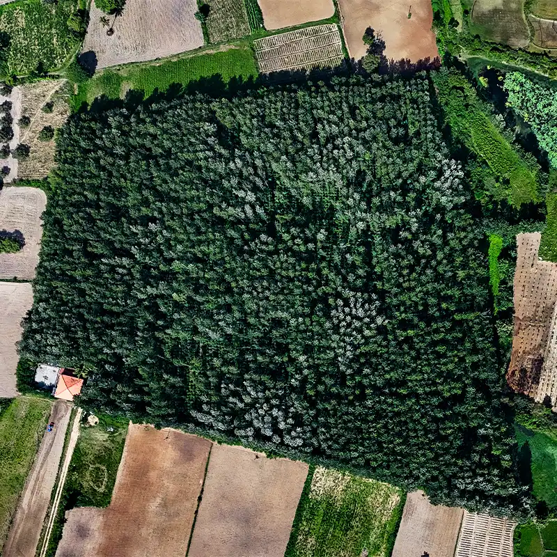 Vihaar about project gallery-2