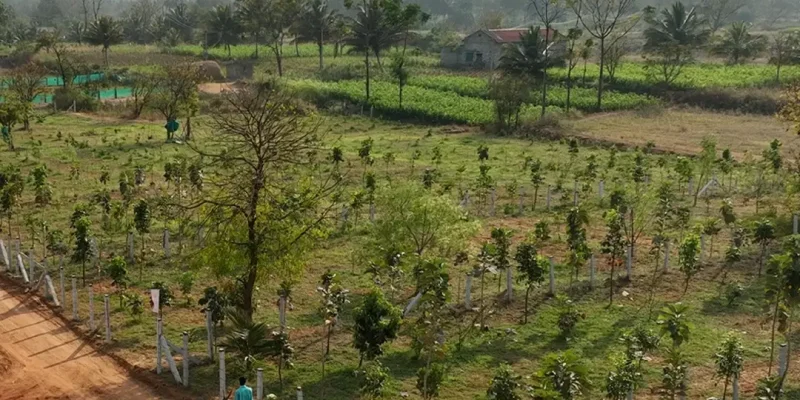 68077f3171a167d413f9d470_2