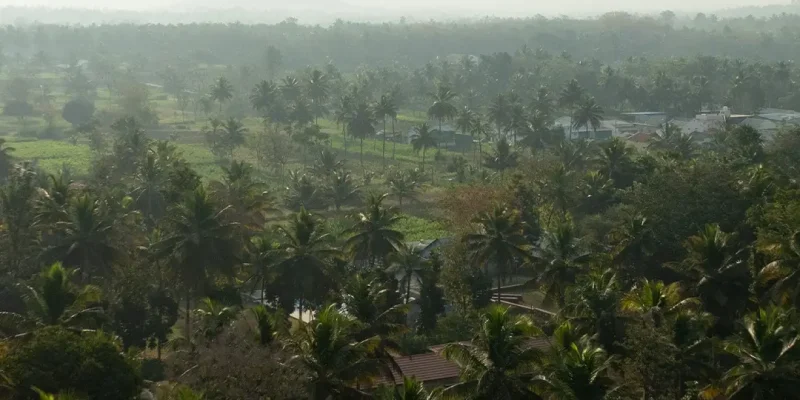 680896b6e429ac10391150c5_3