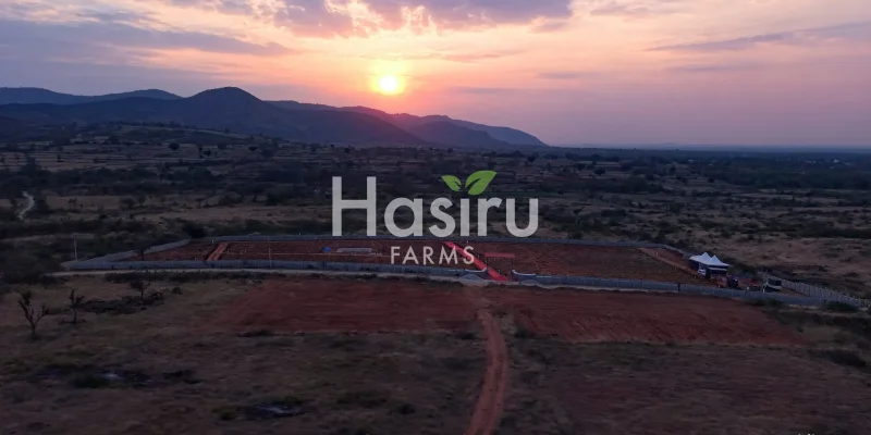 6821e5b1cf6e5cadaefc1c4e_Shikara