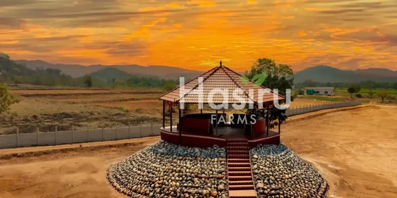 farm land by hasiru farms-1