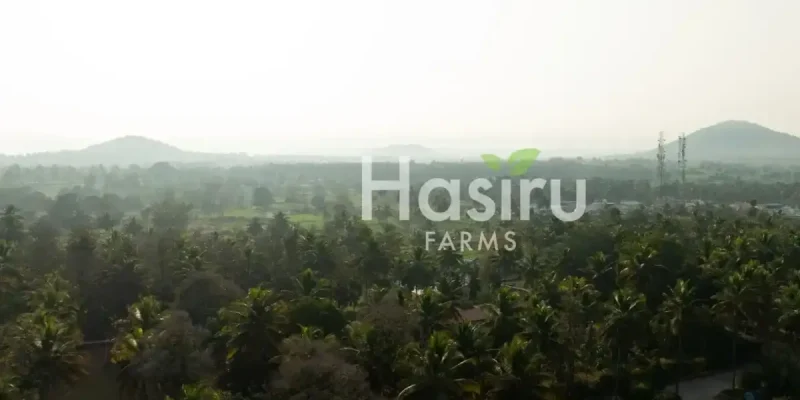 farm land by hasiru farms-2