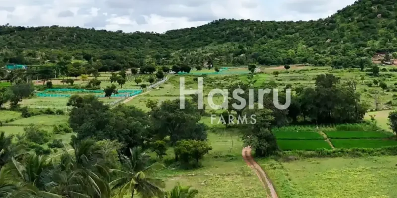 farm land by hasiru farms-3