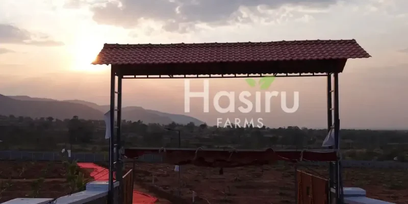 farm land by hasiru farms-4