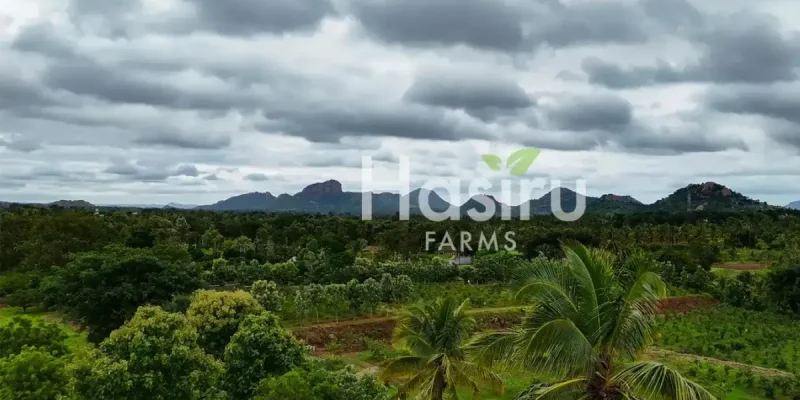 farm land by hasiru farms-6