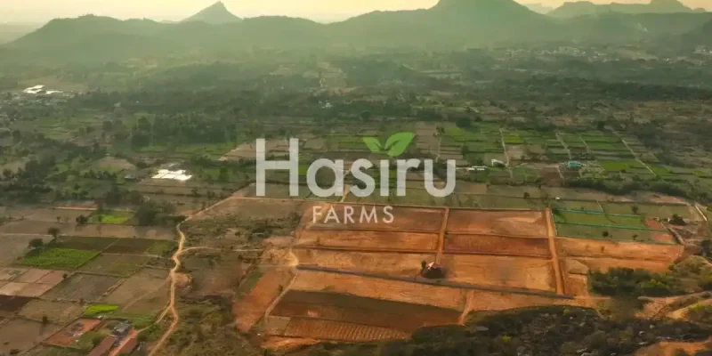 farm land by hasiru farms-7